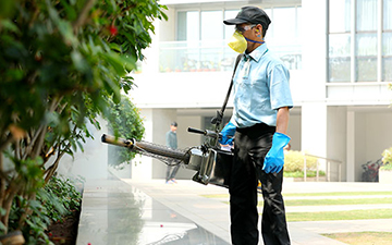 Pest Control Services